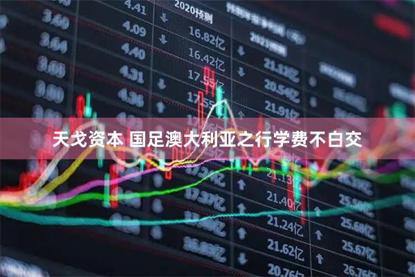 天戈资本 国足澳大利亚之行学费不白交