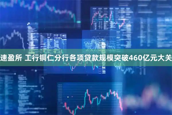 速盈所 工行铜仁分行各项贷款规模突破460亿元大关